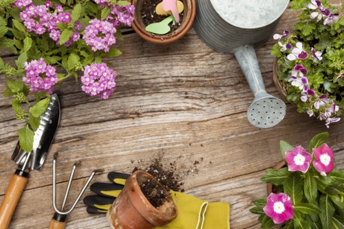 Urban tree care and pruning services in Docklands setting