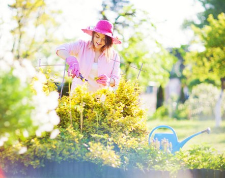 Secure online payment screen for Tree Surgeons Docklands services