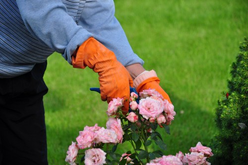 Commercial tree care and canopy management in the Docklands area