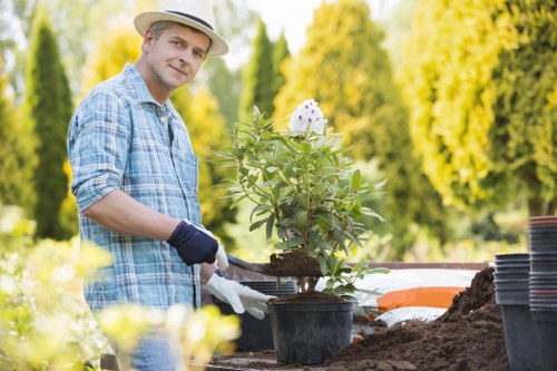 Free quote policy for Docklands tree surgery services