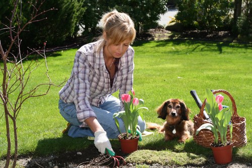 Charity partnership reusing timber and wood chip for community projects