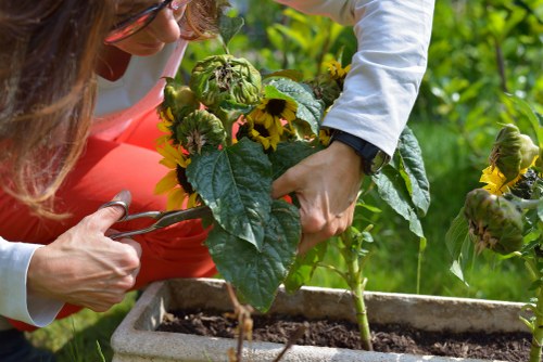 Safe bank transfer and invoice payment illustration for arborist services